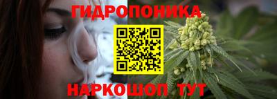 твердый Краснознаменск