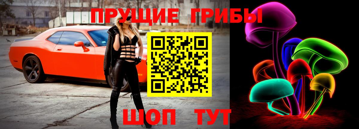 Галлюциногенные грибы мухоморы  Вход с VPN  закладка  Шадринск 