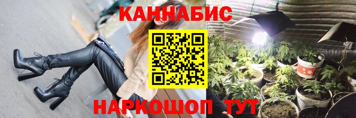 Бошки Шишки MAZAR Шадринск